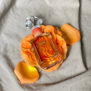 Jastip Parfum Perancis Original Prices