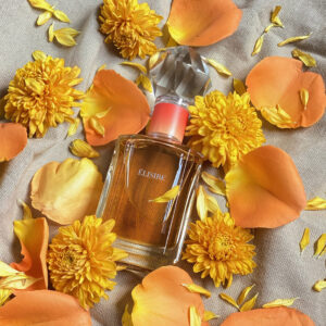 Jastip Parfum Perancis Wanita