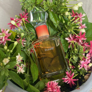 Jastip Parfum Perancis Wanita Original