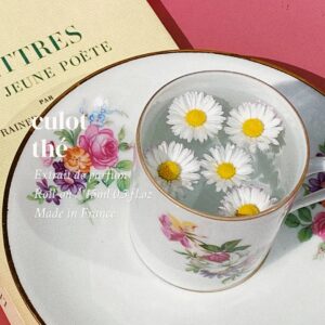 Tempat Beli Parfum Original