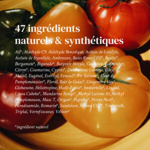 Jastip Parfum Perancis Pria Terbaik 2021 WaroengFrancais.com-VERSȦTILE PARIS-RITAL DATE